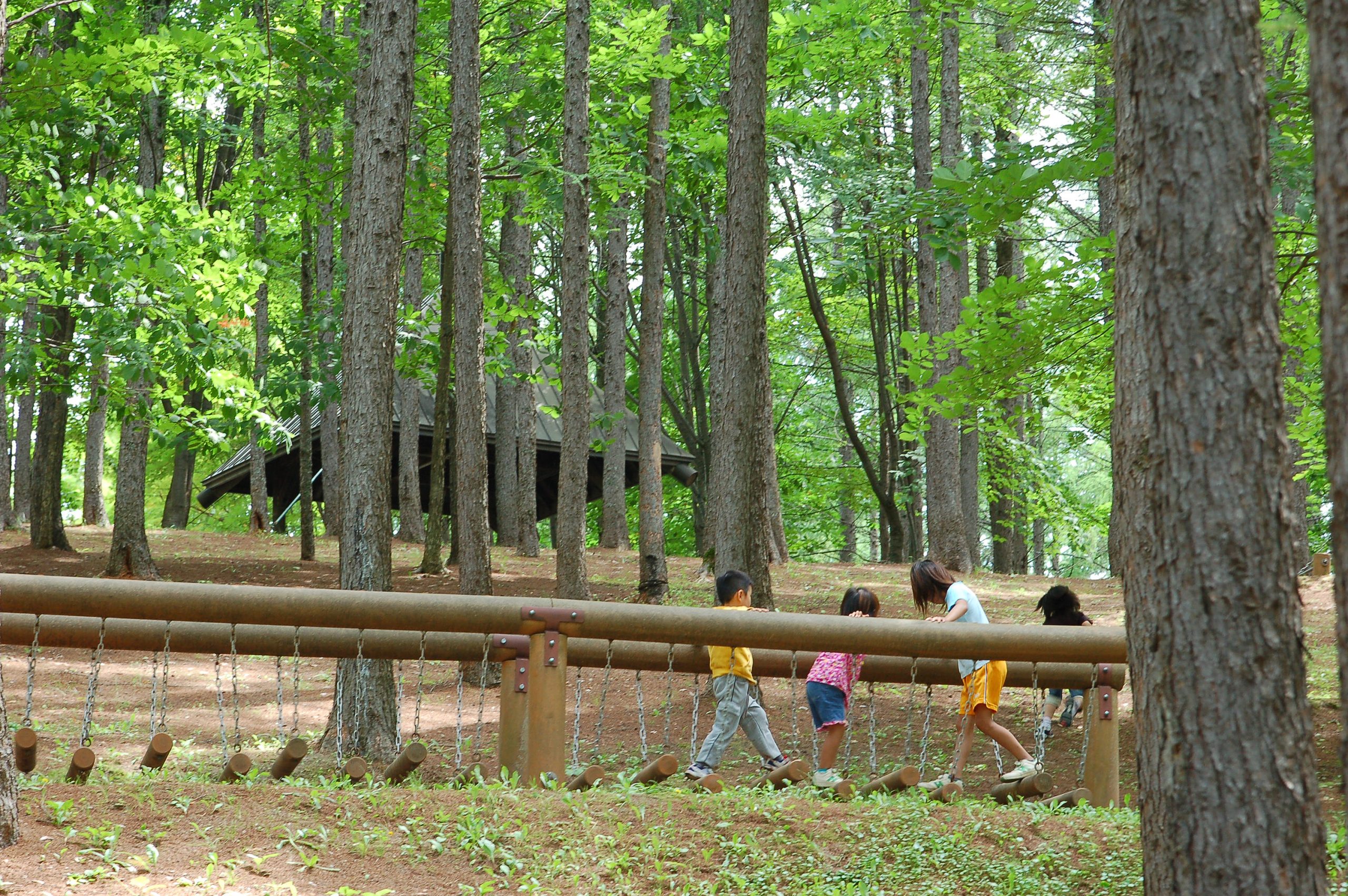 Children's Playground Furano